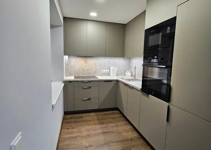 Trakai City Apartment 2-Bedroom