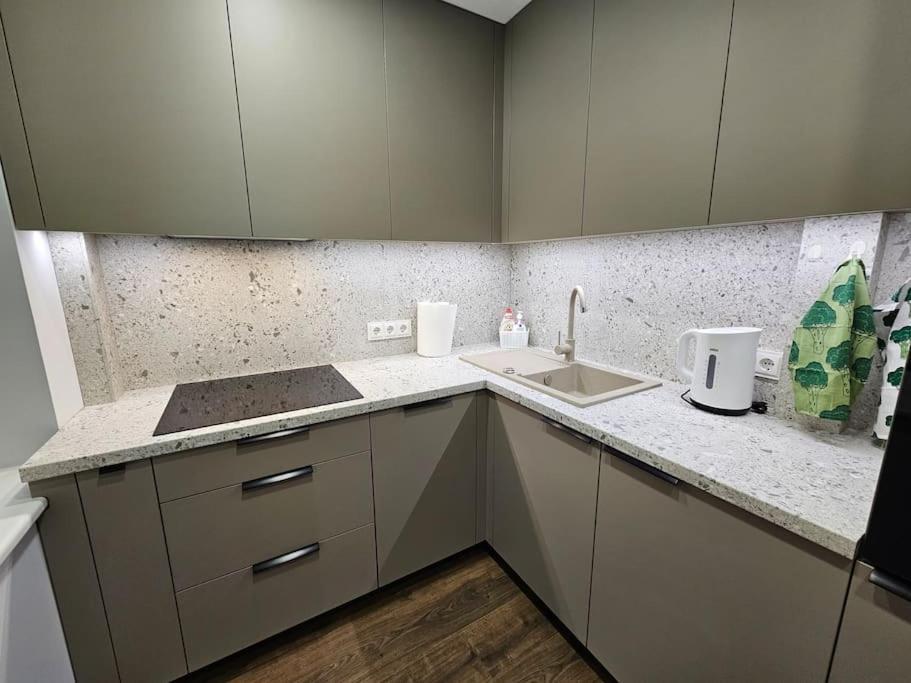 Apartment Trakai 2-bedroom